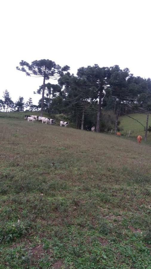Cantinho Do Sossego Urubici Ngoại thất bức ảnh
