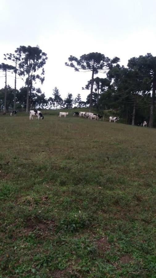 Cantinho Do Sossego Urubici Ngoại thất bức ảnh